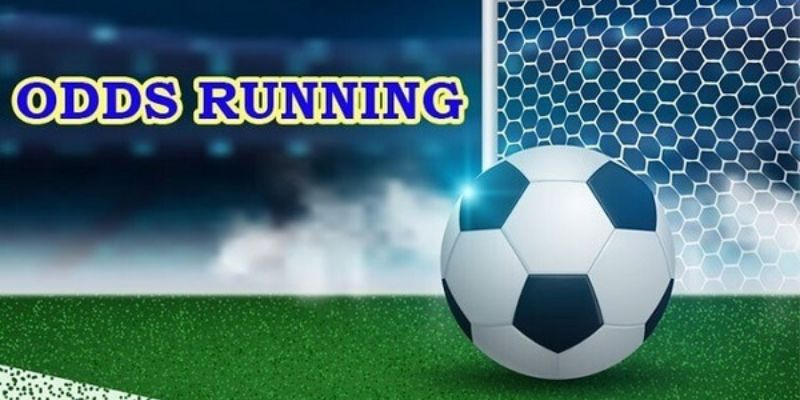 Tổng hợp một số loại hình Odds là gì phổ biến nhất hiện nay