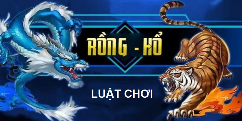 Các quy định luật chơi đánh bài rồng hổ