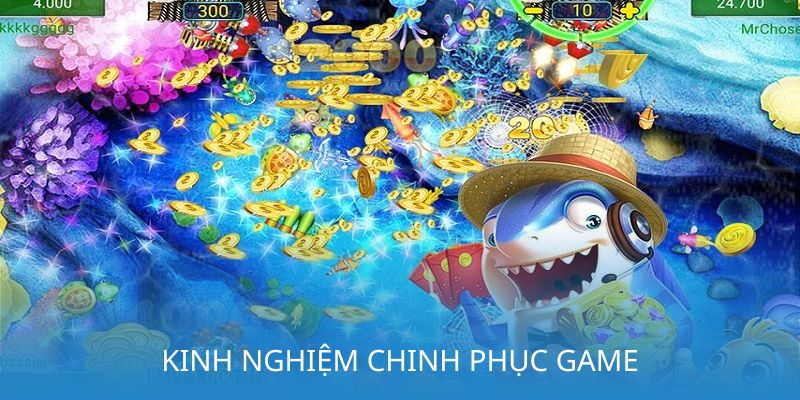 Hiểu biết thực tế trải nghiệm thú vị