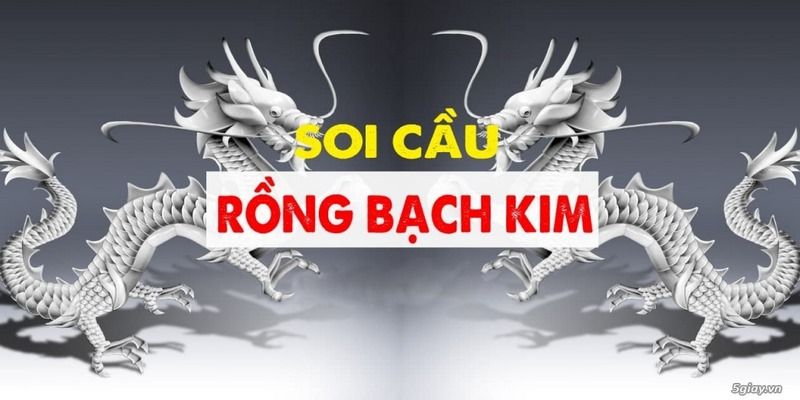 Tìm hiểu về soi cầu rồng bạch kim tại Pg88