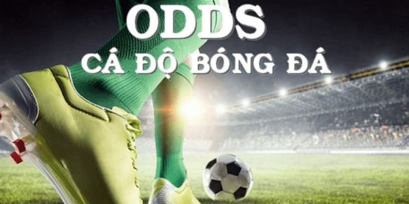 Odds Hong Kong được áp dụng nhiều