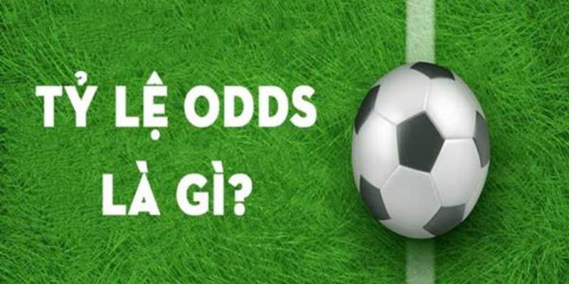 odds là gì pg88